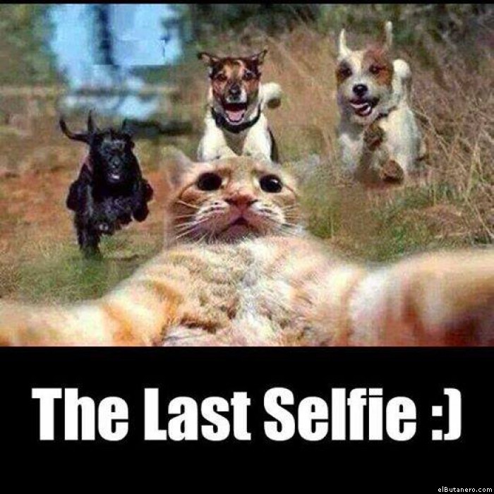 El último selfie
