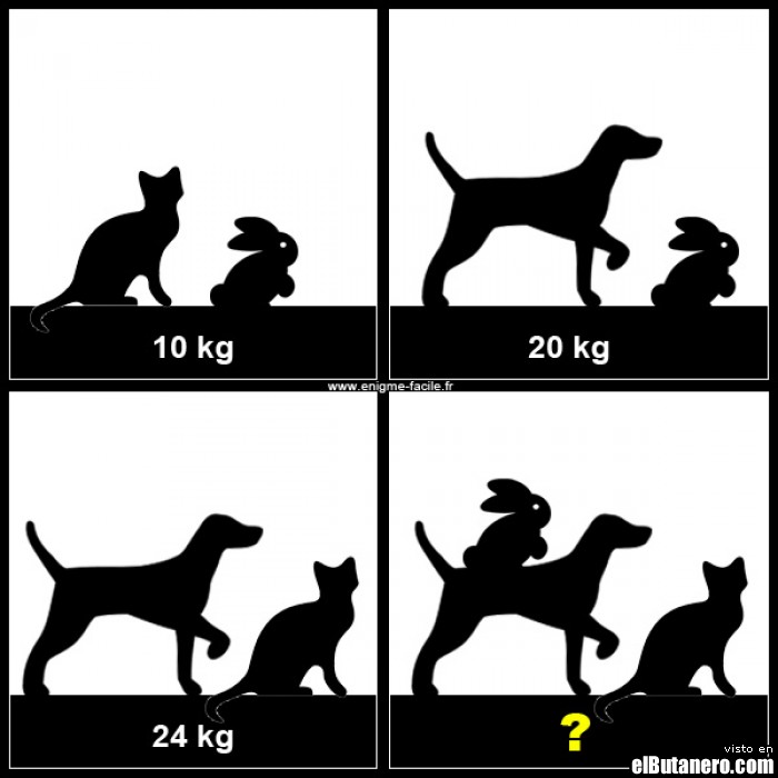 Eres capaz de averiguar el peso de cada animal?