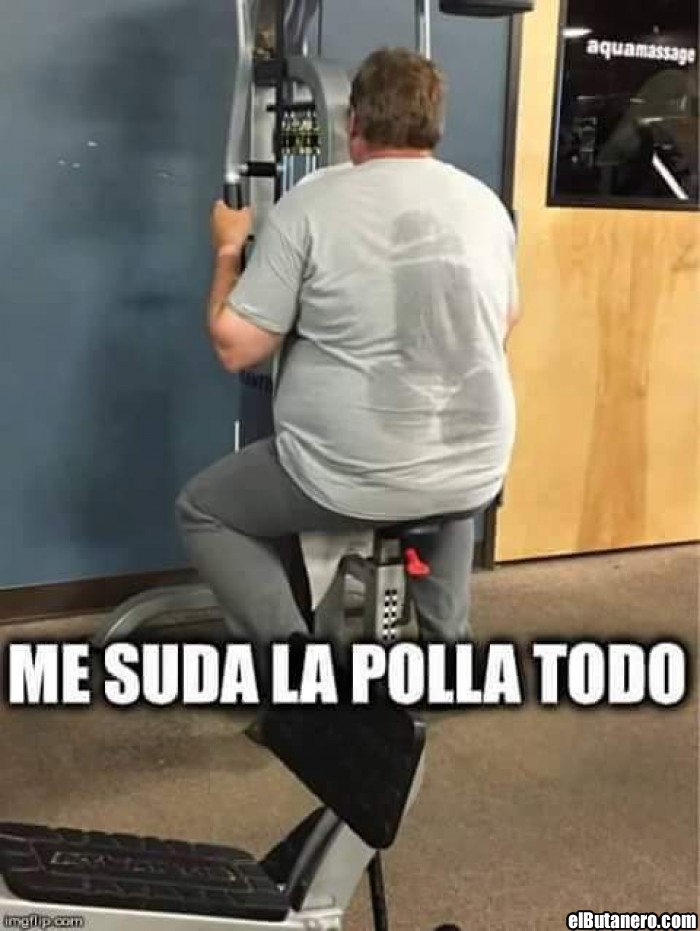 100 Imagenes De Humor Para Whatsapp Con Frases Divertidas Y Memes