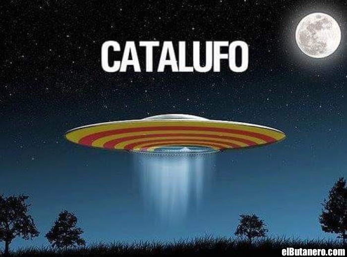 Catalufo